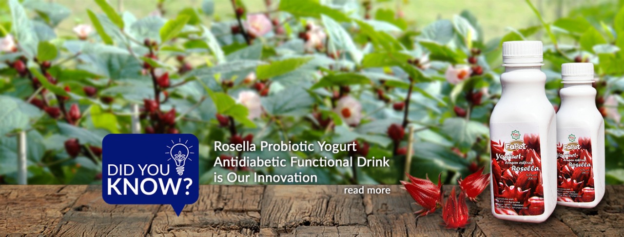 yogurt-probiotik-rosela-banner