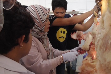 140-juru-sembelih-dki-jakarta-ikuti-juleha-news