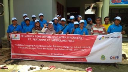 Care-pelatihan-lele