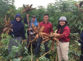 FEM-Lampung