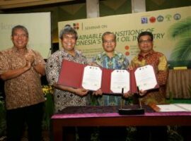 Pengembangan-sawit-1000x666