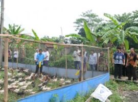 Situ-gede-2-1024x680