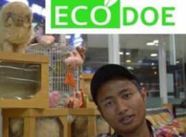 Tatang-Ecodoe