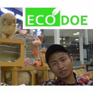 Tatang-Ecodoe