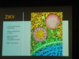 Virus-zika