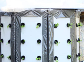 aerogreen-solusi-urban-farming-masa-kini-news