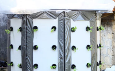 aerogreen-solusi-urban-farming-masa-kini-news