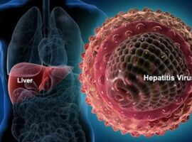 ahli-matematika-ipb-kendalikan-virus-hepatitis-dengan-rumus-news