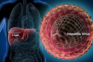 ahli-matematika-ipb-kendalikan-virus-hepatitis-dengan-rumus-news