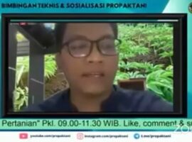 akademisi-ipb-university-jelaskan-budidaya-porang-sebagai-alternatif-usaha-tani-dan-upaya-optimasi-lahan-news
