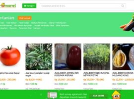 alumni-ipb-ciptakan-marketplace-pertanian-online-terbesar-di-indonesia-news