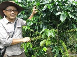 alumni-ipb-ini-ajak-seluruh-pegiat-kopi-nusantara-bersatu-news