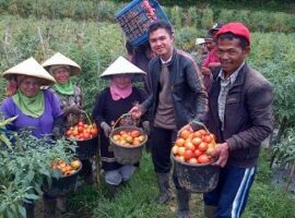 alumni-ipb-wakili-indonesia-dalam-ajang-the-first-asean-youth-social-entrepreuneur-2017-news