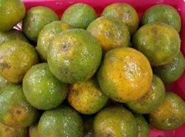 be-herb-bedak-herbal-jaga-kualitas-buah-buatan-anak-ipb-news