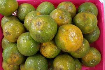 be-herb-bedak-herbal-jaga-kualitas-buah-buatan-anak-ipb-news