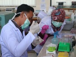 belajar-dna-barcoding-untuk-analisis-spesies-baru-di-departemen-biologi-ipb-news