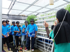 care-lppm-ipb-university-dan-pt-pertamina-ep-asset-3-jatibarang-latih-pemuda-majalengka-menanam-lewat-hidroponik-news