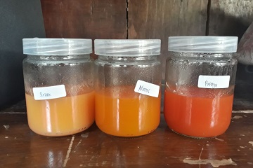 carofruit-minuman-antioksidan-dari-buah-merah-buatan-anak-ipb-news