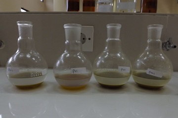 cegah-pakan-tengik-peneliti-ipb-manfaatkan-daun-mengkudu-news