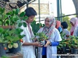 departemen-agronomi-dan-hortikultura-ipb-menjadi-rujukan-pendidikan-agronomi-indonesia-news