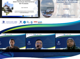 departemen-msp-ipb-university-gelar-webinar-pengelolaan-perikanan-demersal-dan-rajungan-berkelanjutan-news