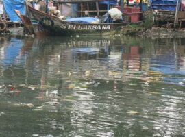 dosen-ipb-analisis-pencemaran-das-ciliwung-ke-teluk-jakarta-news