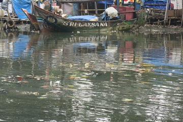 dosen-ipb-analisis-pencemaran-das-ciliwung-ke-teluk-jakarta-news