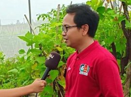dosen-ipb-potensi-besar-kecipir-sebagai-pengganti-kedelai-news