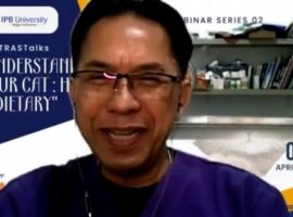 dua-dosen-skhb-ipb-university-jelaskan-seputar-diet-dan-kesehatan-kucing-news