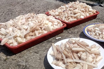 eta-pisan-solusi-peningkat-pertumbuhan-larva-ikan-nila-ala-mahasiswa-ipb-news