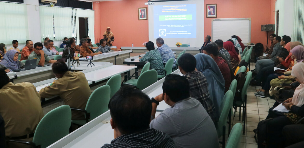 gerak-cepat-departemen-proteksi-tanaman-ipb-university-respon-ulat-grayak-jagung-news