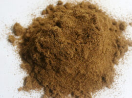 giver-pro-tabir-surya-alami-buatan-mahasiswa-ipb-university-news