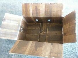 guna-menjaga-mutu-peneliti-ipb-gunakan-ice-gel-untuk-transportasi-jamur-tiram-news