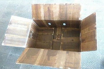 guna-menjaga-mutu-peneliti-ipb-gunakan-ice-gel-untuk-transportasi-jamur-tiram-news