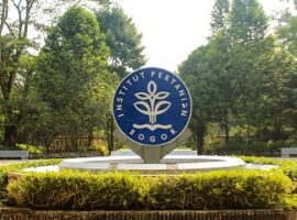 guru-besar-ipb-air-laut-naik-satu-meter-120-hektar-lahan-pertanian-hilang-news