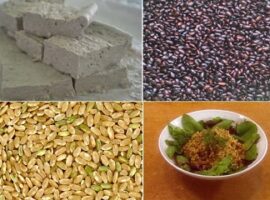 guru-besar-ipb-kacang-kacangan-mampu-cegah-diabetes-news
