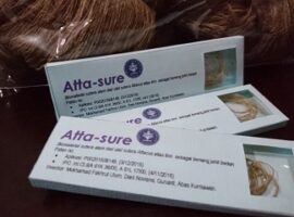 ini-dia-inovasi-dokter-hewan-ipb-jahit-luka-dengan-benang-sutera-cokelat-news