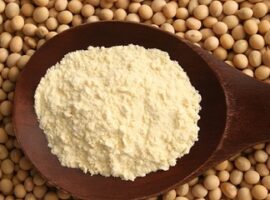 ini-dia-tepung-tempe-kecambah-kedelai-buatan-ipb-yang-kaya-manfaat-news