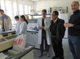 internasionalisasi-torbangun-coleus-amboinicus-lour-news