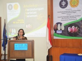 ipb-dan-kementan-bahas-perlindungan-kekayaan-intelektual-varietas-tanaman-news