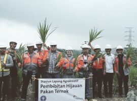 ipb-dan-pt-holcim-gelar-panen-perdana-rumput-gajah-odot-dan-indigofera-news