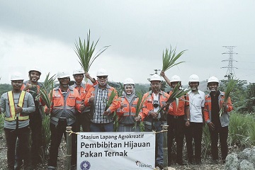ipb-dan-pt-holcim-gelar-panen-perdana-rumput-gajah-odot-dan-indigofera-news