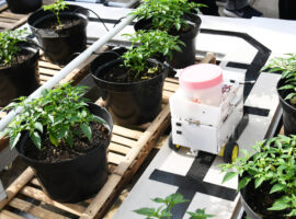 ipb-resmikan-laboratorium-smart-urban-farming-news