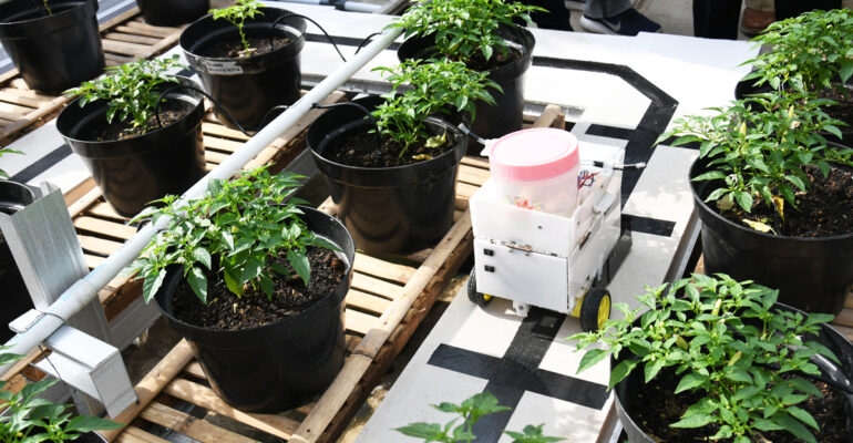 ipb-resmikan-laboratorium-smart-urban-farming-news