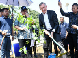 ipb-university-bersama-alumni-jaga-kelestarian-pohon-langka-news