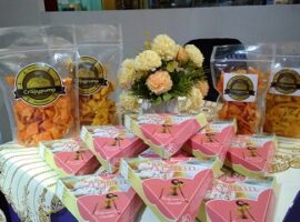 istana-pandawa-karya-mahasiswa-ipb-raih-juara-i-business-plan-competition-tingkat-nasional-news