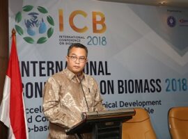 jepang-dan-korea-minati-biomassa-indonesia-teken-kontrak-hingga-10-miliar-dolar-news
