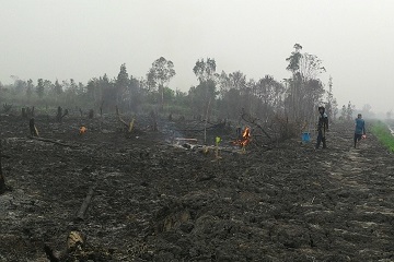 kearifan-lokal-dayak-ngaju-dalam-menyiapkan-lahan-patut-ditiru-news