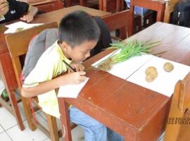 kenalkan-biodiversitas-tumbuhan-mahasiswa-ipb-ciptakan-aplikasi-poke-plant-go-news