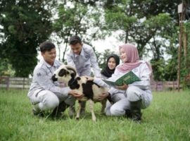 keunggulan-dan-prospek-kerja-program-studi-d4-teknologi-dan-manajemen-ternak-sekolah-vokasi-ipb-university-news